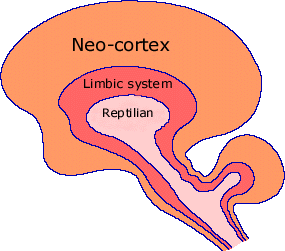 Triune Brain