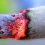 cigarette 560x260 cigarette 560x260
